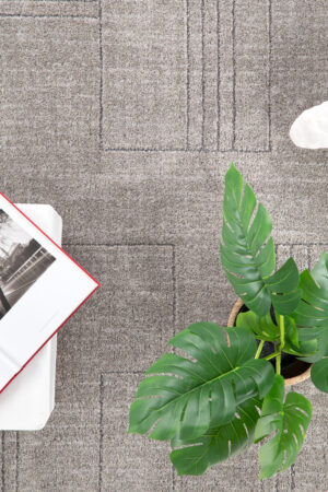 Μοντέρνο Χαλί Dune 603 382 120X170 Royal Carpet - Image 3