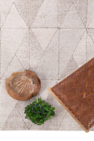 Μοντέρνο Χαλί Dune 615 571 200X290 Royal Carpet - Image 3