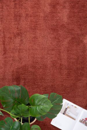 Χαλί Feel 71351 013 240x300 Royal Carpet - Image 3