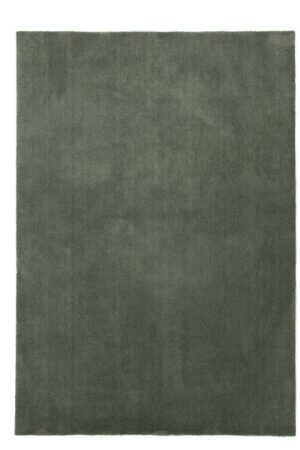 Χαλί Feel 71351 044 160x230 Royal Carpet - Image 1