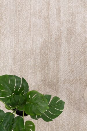 Μοντέρνο Χαλί Solid 1391 Cream 200X300 Royal Carpet - Image 3