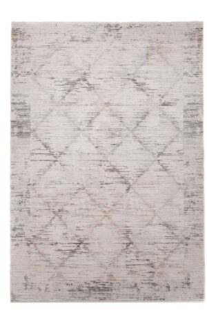 Μοντέρνο χαλί Tokyo 74A 160x230 L. Grey Royal Carpet - Image 1