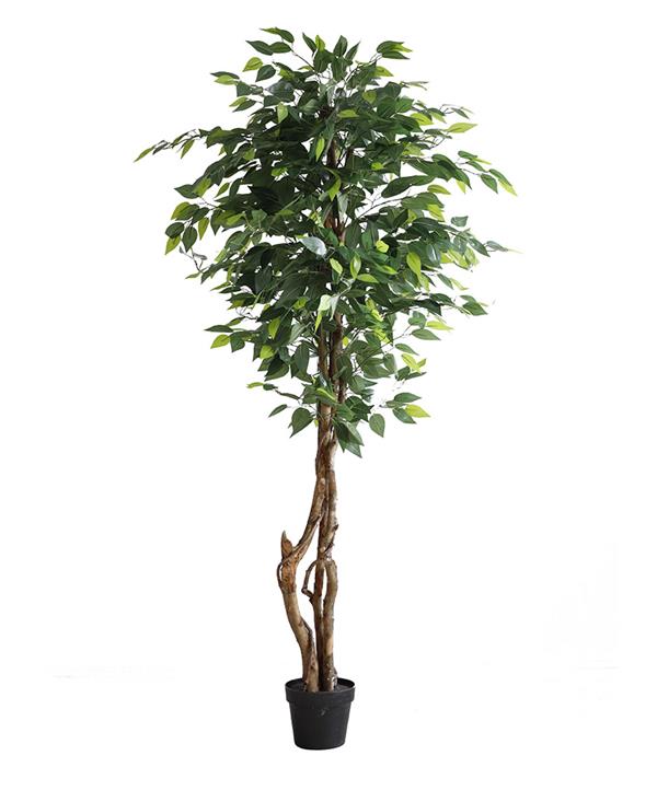 Τεχνιτό Δέντρο Ficus Tree NP5209_180 Ύψος 180μ New Plan