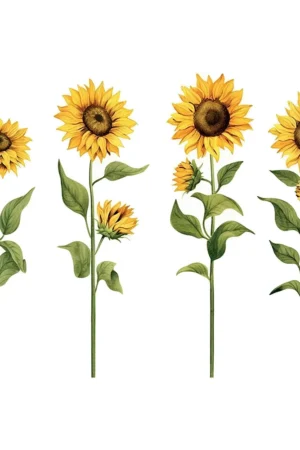 Sunflowers αυτοκόλλητα τοίχου βινυλίου (44240) - Image 3