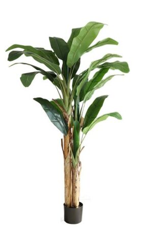 Τεχνιτό Δέντρο Banana Tree NP710_205 Ύψος 205μ New Plan - Image 1