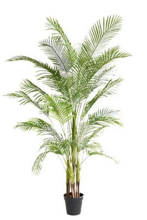 Τεχνιτό Δέντρο Palm Tree NP5501_210 Ύψος 210μ New Plan - Image 1