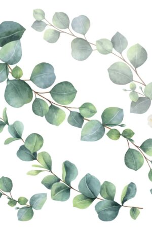 Eucalyptus αυτοκόλλητα τοίχου βινυλίου (54120) - Image 3