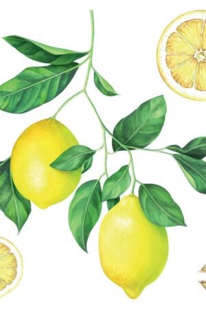 Lemons αυτοκόλλητα τοίχου βινυλίου (54122) - Image 3