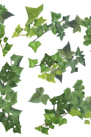 Ivy αυτοκόλλητα τοίχου βινυλίου (54152) - Image 3