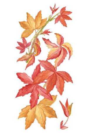 Virginia Creeper αυτοκόλλητα τοίχου βινυλίου (59154) - Image 3
