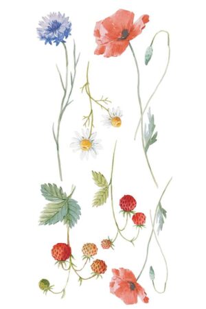 Field Flowers αυτοκόλλητα τοίχου βινυλίου (59178) - Image 2