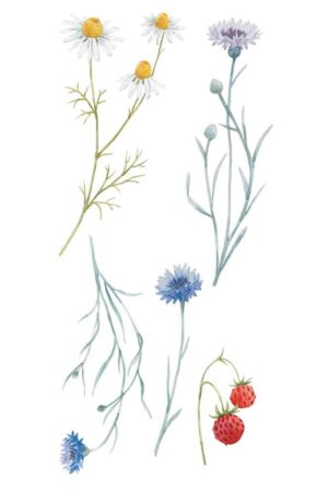Field Flowers αυτοκόλλητα τοίχου βινυλίου (59178) - Image 3