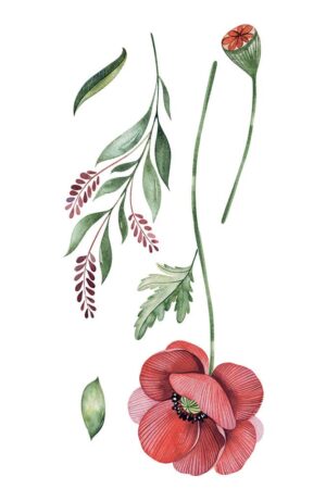 Poppies αυτοκόλλητα τοίχου βινυλίου (59180) - Image 3