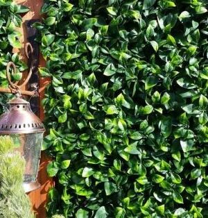 Πάνελ Φυλλωσιάς Διακοσμητικά Berlin A017 Photinia 50x50 New Plan - Image 3