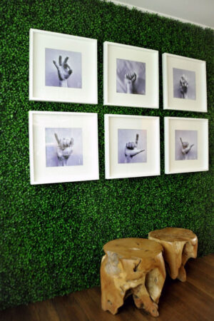 Πάνελ Φυλλωσιάς Διακοσμητικά Berlin A146 Boxwood 50x50 New Plan - Image 3