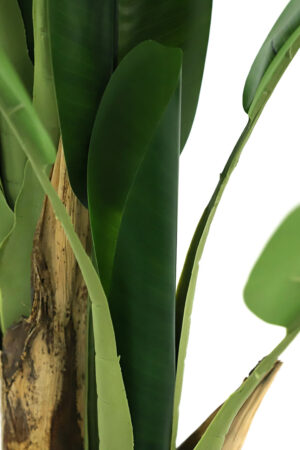 Τεχνιτό Δέντρο Banana Tree NP0018_280 Ύψος 280μ New Plan - Image 3