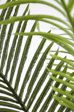 Τεχνιτό Δέντρο Palm Tree NP5501_210 Ύψος 210μ New Plan - Image 2