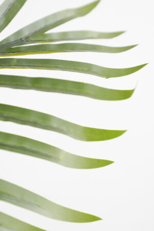 Τεχνιτό Δέντρο Palm Tree NP5501_210 Ύψος 210μ New Plan - Image 3