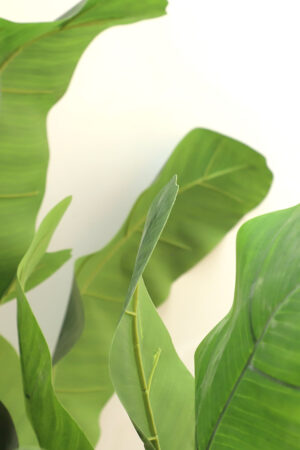 Τεχνιτό Δέντρο Banana Tree NP707_240 Ύψος 240μ New Plan - Image 3