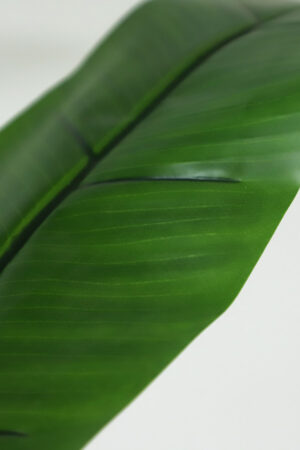 Τεχνιτό Δέντρο Banana Tree NP710_205 Ύψος 205μ New Plan - Image 3