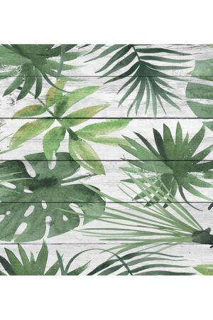 Tropical Wood πλάτη προστασίας τοίχου εστιών κουζίνας (67281) - Image 3