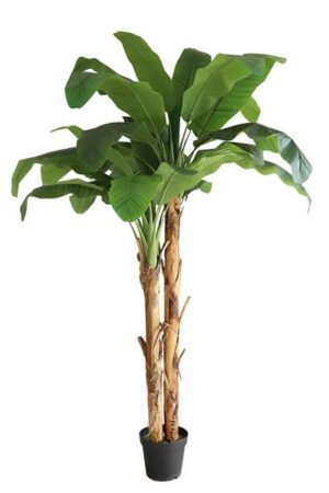 Τεχνιτό Δέντρο Banana Tree NP707_240 Ύψος 240μ New Plan - Image 1