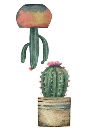 Cactus αυτοκόλλητα βινυλίου για τζάμι S (69001) - Image 3