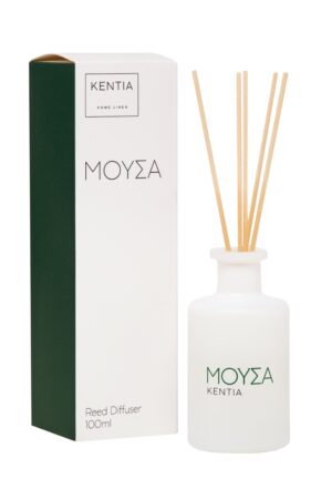 MOOD 25 ΜΟΥΣΑ DIFFUSER SECRET WOOD